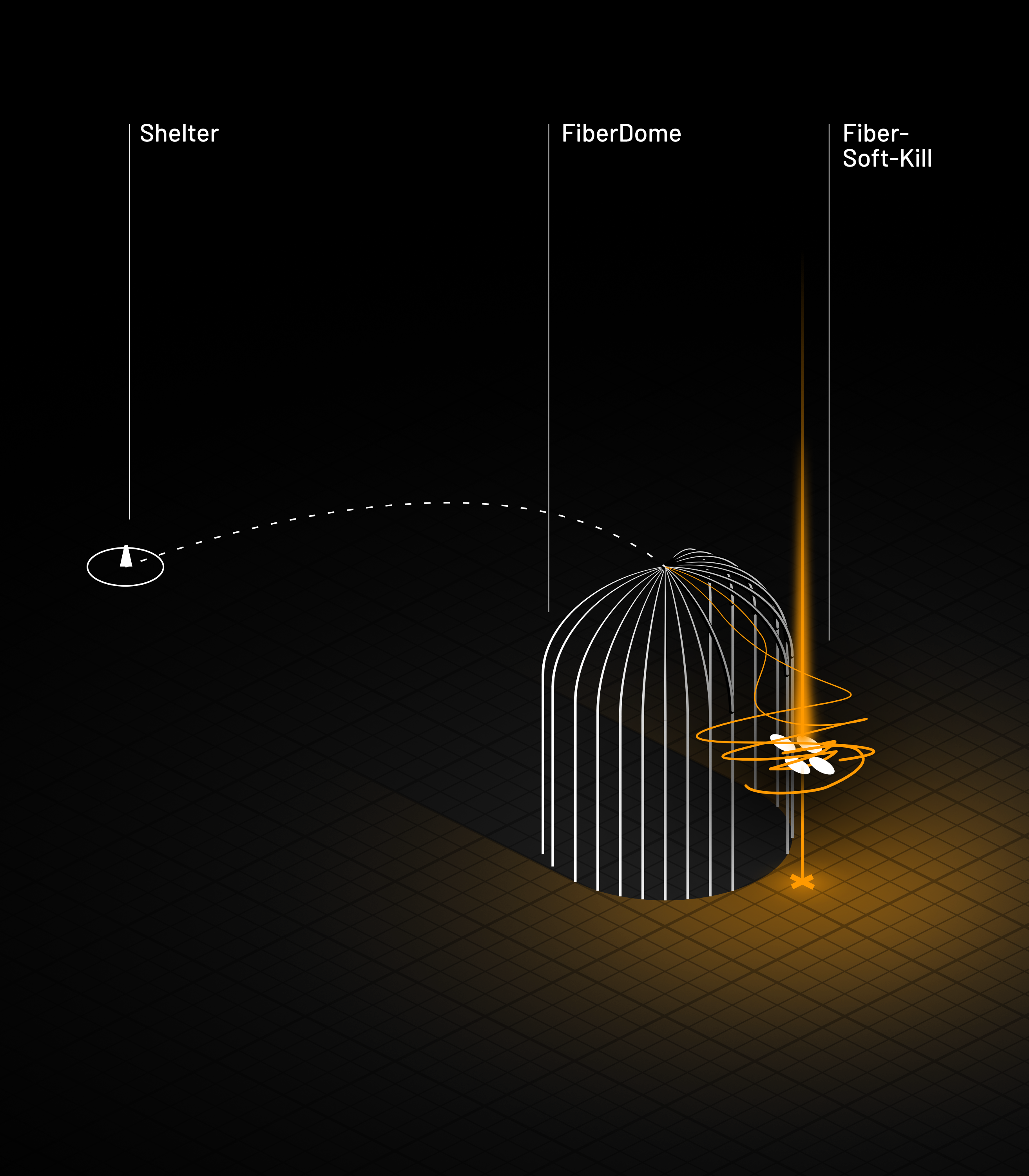 fiberdome
